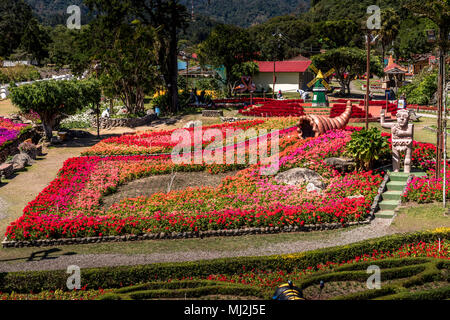 Boquete Coffee and Flower Fair, Chiriqui, Panama Stock Photo