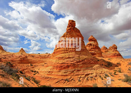 Cottonwood Teepees, a rock formation near The Wave at Coyote Buttes South CBS, Paria Canyon Vermillion Cliffs Wilderness, Arizona Stock Photo