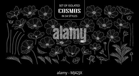 Set of isolated cosmos in 34 styles. Cute hand drawn flower vector illustration only white outline on black background. Stock Vector