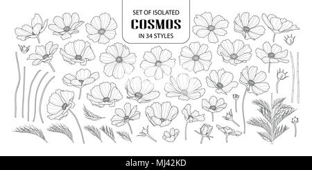 Set of isolated cosmos in 34 styles. Cute hand drawn flower vector illustration in black outline and white plane on white background. Stock Vector