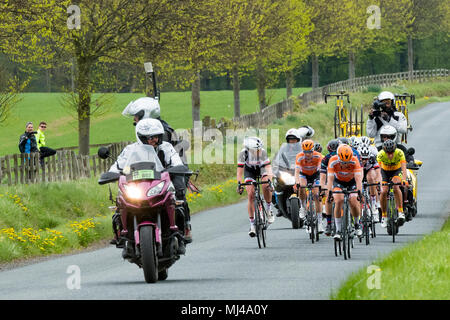 Asda sale ladies bikes