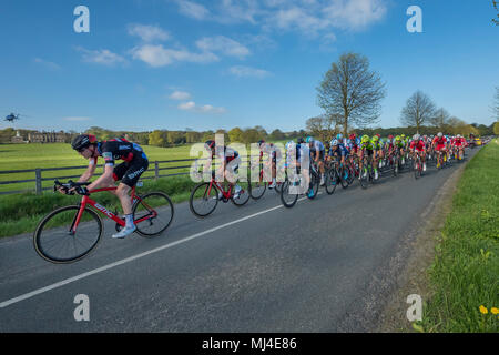 Denton, West Yorkshire, 4th May 2018. Large group of male cyclists in the pelaton, competing in the sunny Tour de Yorkshire 2018, are racing past Denton Hall, on straight, flat, scenic, countryside lane near Ilkley, North Yorkshire, England, UK. Credit: Ian Lamond/Alamy Live News Stock Photo