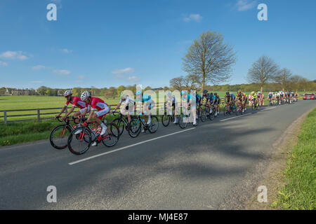 Denton, West Yorkshire, 4th May 2018. Under a blue sky, a large group of male cyclists in the pelaton, competing in the sunny Tour de Yorkshire 2018, are racing past Denton Hall, on a straight, flat, scenic, countryside lane near Ilkley, North Yorkshire, England, UK. Credit: Ian Lamond/Alamy Live News Stock Photo