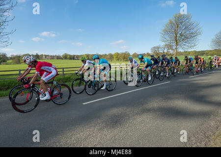 Denton, West Yorkshire, 4th May 2018. Large group of male cyclists in the pelaton, competing in the sunny Tour de Yorkshire 2018, are racing past Denton Hall, on straight flat countryside lane near Ilkley, North Yorkshire, England, UK. Credit: Ian Lamond/Alamy Live News Stock Photo