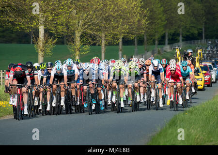 Denton, West Yorkshire, 4th May 2018. Large group of male cyclists in the pelaton, competing in the sunny Tour de Yorkshire 2018, are racing past the grounds of Denton Hall, on a straight, flat, scenic, countryside lane, closely followed by a line of team cars - near Ilkley, North Yorkshire, England, UK. Credit: Ian Lamond/Alamy Live News Stock Photo