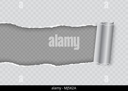 Vector realistic torn paper with rolled edge on transparent background Stock Vector