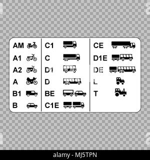 Driver's licenses symbols subdivided into different categories. Stock Vector