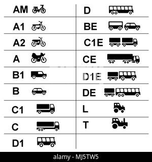 Driver's licenses symbols subdivided into different categories. Stock Vector