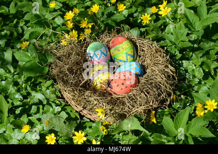 Painted easter eggs in a nest hidden in grass with buttercup.. Stock Photo