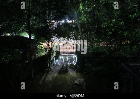 A dark night view of trees and a gate with 'WILD' written with Long Exposure Stock Photo