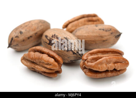 Group of pecan nuts isolated on white Stock Photo