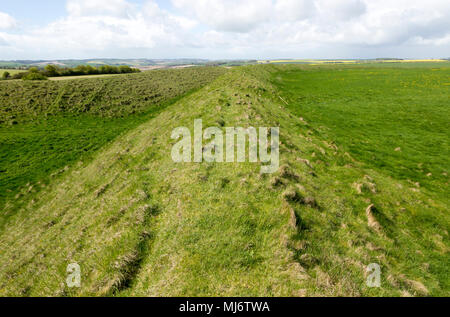 Defensive ramparts and ditch Yarnbury Castle, Iron Age hill fort ...