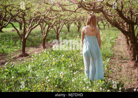 Woman walking in a orchard. Peace and harmony Stock Photo