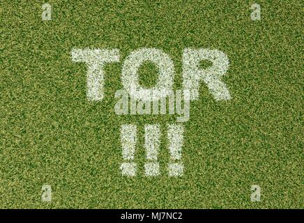 realistic textured grass football - soccer field. TOR - written with white grass on the green football field Stock Photo