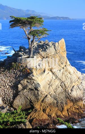 MONTEREY, CALIFORNIA - APRIL 7, 2014: Lone Cypress tree view along famous 17 Mile Drive in Monterey. Sources claim it is one of the most photographed  Stock Photo