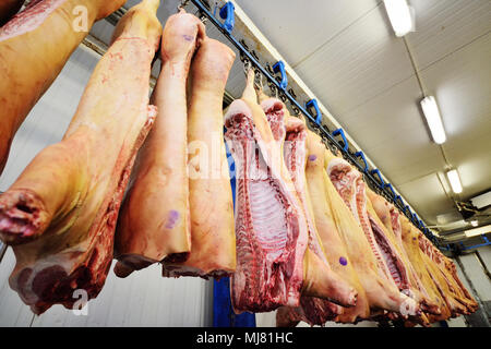 Pork carcasses against the background of a meat-packing plant. Stock Photo