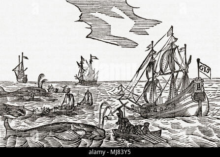 Whaling, 17th Century Stock Photo - Alamy