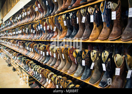 View of large selection of brown and black leather cowboy boots on shelves in a shoe shop. Stock Photo