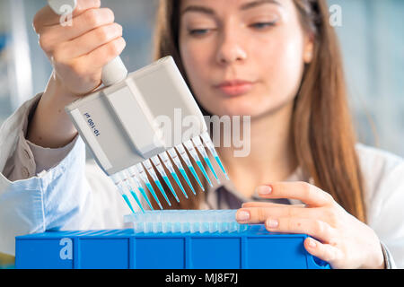 student woman with multi pipette and other PCR items in microbiological / genetic laboratory Stock Photo