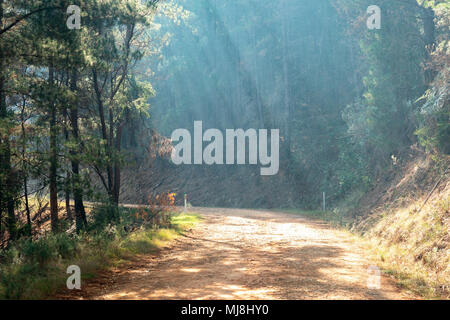 Sun rays coming through the smoke Stock Photo