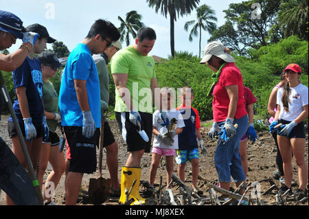 PEARL HARBOR-- (April 21, 2018) Hawaii State Representative Aaron Johanson, center, joins Radford High School JROTC cadets, military and their families along with the local community to plant native species and clean up at the ancient fishpond, Loko Pa’aiau, at McGrew Point Navy housing on Oahu. The fishpond restoration started September 2014 and forges a continuing partnership by the U.S. Navy and the local community to restore ancient Hawaiian relics onboard Joint Base Pearl Harbor-Hickam. (U.S. Navy photo by Airman Joshua Markwith) Stock Photo