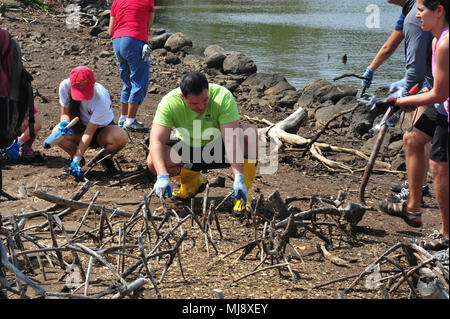 PEARL HARBOR-- (April 21, 2018) Hawaii State Representative Aaron Johanson joins Radford High School JROTC cadets, military and their families along with the local community to plant native species and clean up at the ancient fishpond, Loko Pa’aiau, at McGrew Point Navy housing on Oahu. The fishpond restoration started September 2014 and forges a continuing partnership by the U.S. Navy and the local community to restore ancient Hawaiian relics onboard Joint Base Pearl Harbor-Hickam. (U.S. Navy photo by Airman Joshua Markwith) Stock Photo