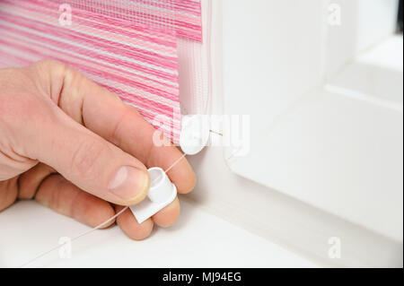 Installing fabric roller blinds. A man pulling the rope that guides the movement of roller blinds. Stock Photo
