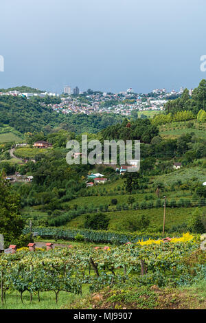 The wine valley 'Vale dos Vinhedos' with the town of Bento Goncalves, Rio Grande do Sul, Brazil, Latin America Stock Photo