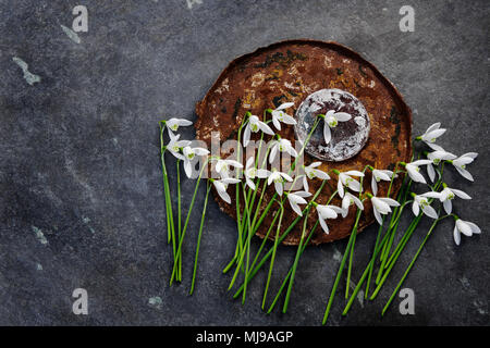 Snowdrop flowers, rusty bucket bottom, burnt base of Cocoa tin, with slate slab background. Stock Photo
