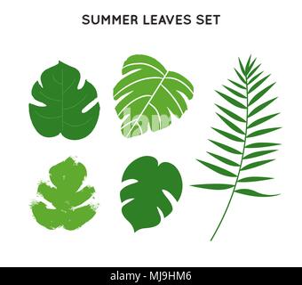 Tropical summer leaves set, hand drawn green palm tree leaf collection on isolated background. EPS10 vector. Stock Vector