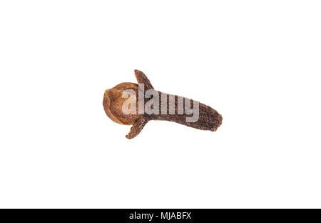 Closeup of single dried cloves on white background Stock Photo