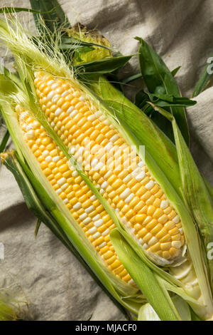 Raw Yellow Corn on the Cobb in the Husk Stock Photo