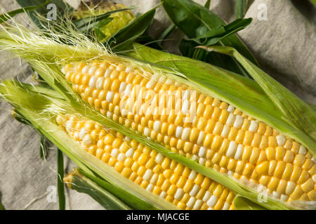 Raw Yellow Corn on the Cobb in the Husk Stock Photo