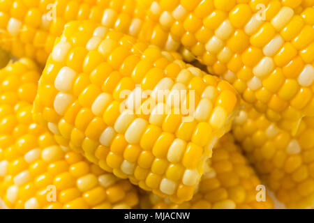 Raw Yellow Corn on the Cobb Ready to Eat Stock Photo