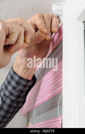 Installing fabric roller blinds. A man pulling the rope that guides the movement of roller blinds. Stock Photo