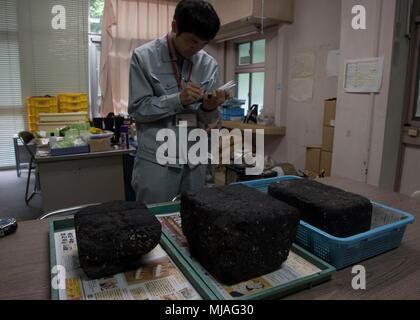 180425-N-QY759-0067 SASEBO, Japan (Apr. 25, 2018) Sasebo City archeologist Atsushi Kawachino makes notes during the turnover of three early 20th century Imperial Japanese navy coal briquettes to Sasebo City by Fleet Activities (FLEACT) Sasebo.  The rare briquettes were fuel for naval vessels and were manufactured by the Tokuyama naval fuel depot in Yamaguchi Prefecture. These were dredged up in FLEACT Sasebo waters during an environmental resources survey conducted in February and turned over to Sasebo City for curation and display. (U.S. Navy photo by Mass Communication Specialist 1st Class D Stock Photo