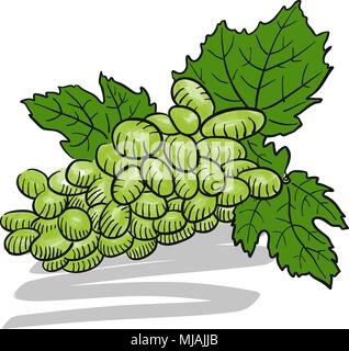 Green colored Sketched Bunch of Grapes, Hand drawn Vector Artwork Stock Vector