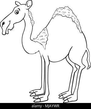 Download dromedary camel for coloring book Stock Photo: 102960847 - Alamy