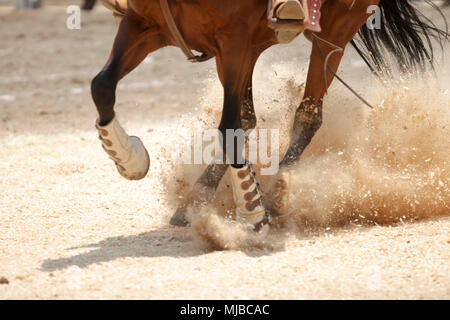 Close Up of a brown horse riding fast in the dirt Stock Photo