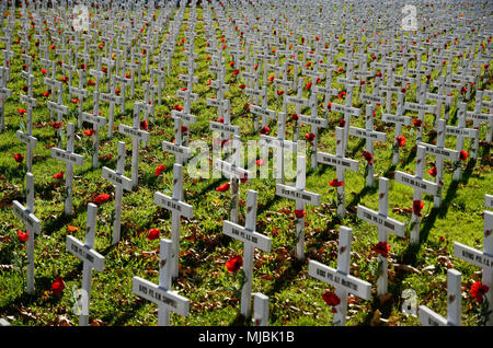 CHRISTCHURCH, NEW ZEALAND, APRIL 20, 2018: A field of crosses represents those who died in the Great War for a memorial on Anzac Day Stock Photo