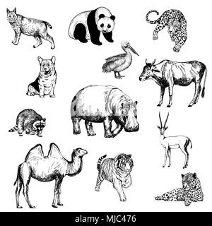 Set of hand drawn sketch style animals and bird isolated on white background. Vector illustration. Stock Vector