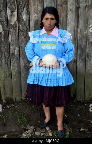 Ostrich eggs - Zoo in GRANJA PORCON -  Evangelical cooperative - Department of Cajamarca .PERU                    Stock Photo