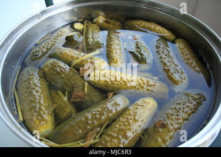 pickled cucumbers in the clouds is very tasty Stock Photo