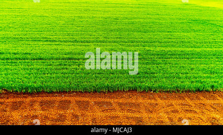 Aerial view over the agricultural fields Stock Photo