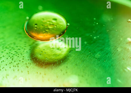 Macro close up of oil bubbles look like scientific image of cell and cell membrane in green substance on metall surface. Stock Photo