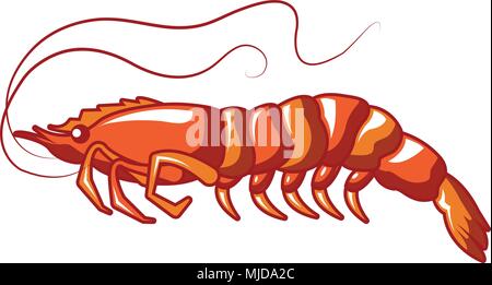 Long shrimp icon, cartoon style Stock Vector