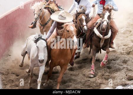 Mexican charros performing a dangerous horse stun Stock Photo