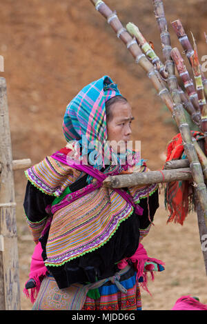 Hmong woman eating sugar cane at Can Cau market, Vietnam. Stock Photo