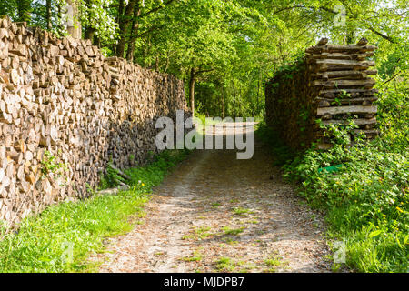 Two piles of logs stacked cleanly on both sides of a forest path at the edge of a forest in the french countryside. Stock Photo