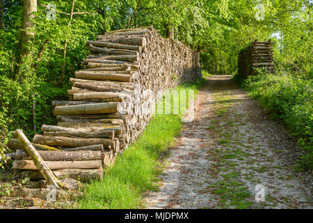 Two piles of logs stacked cleanly on both sides of a forest path at the edge of a forest in the french countryside. Stock Photo